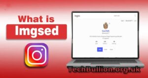 ImgSed Everything You Need to Know: A User’s Guide
