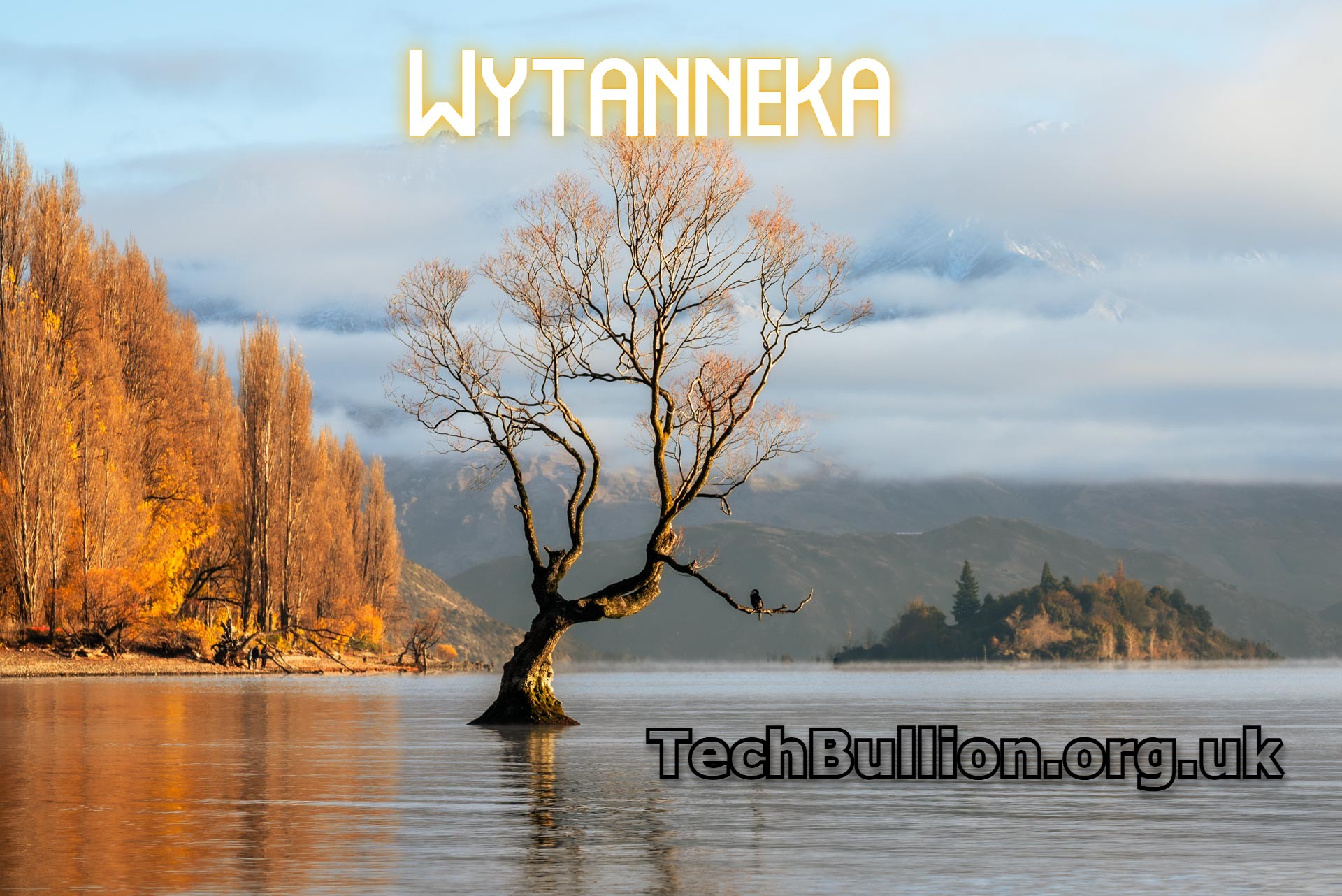 Wytanneka